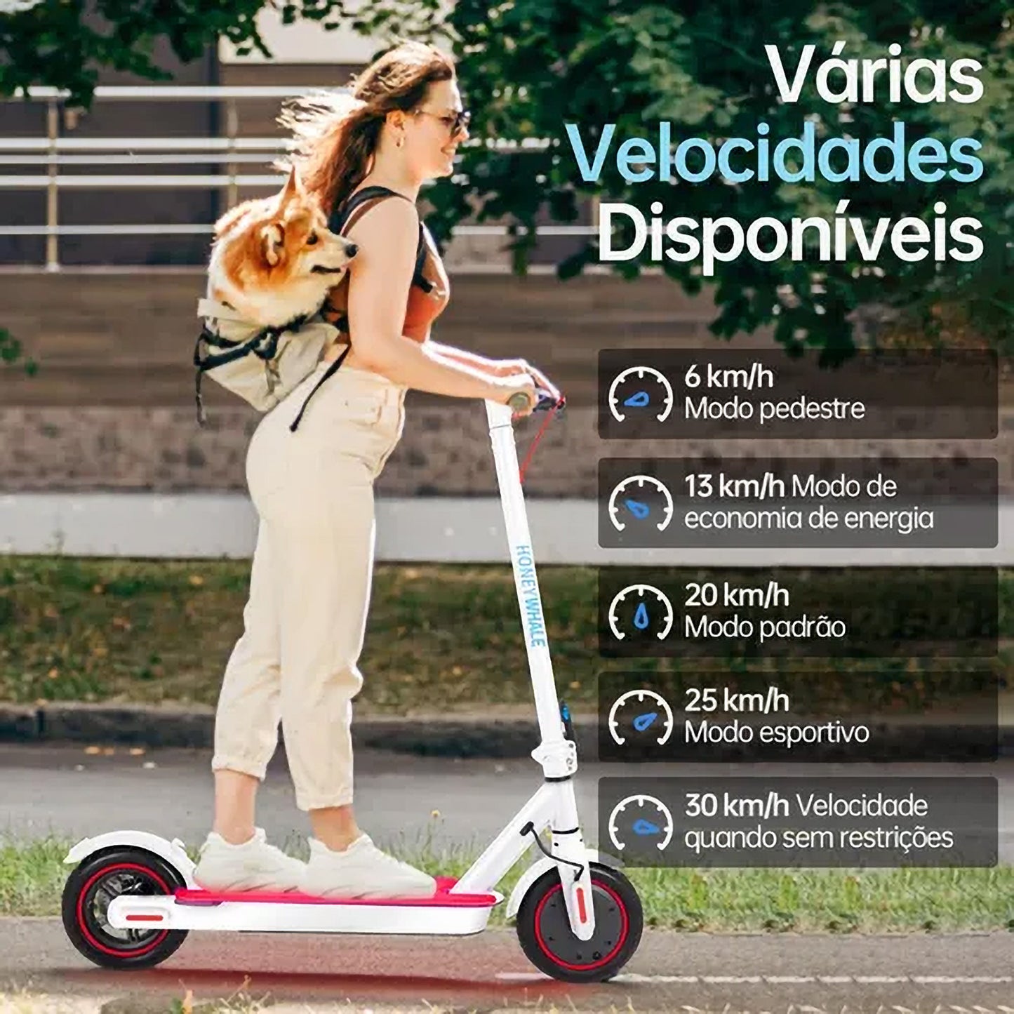 Honey Whale S2 - Branco - Patinete Elétrico Scooter 500w 30km/h 20km
