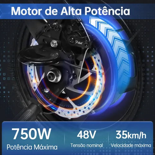 Honey Whale S6-s Bicicleta Elétrica 750w 40km 35km/h
