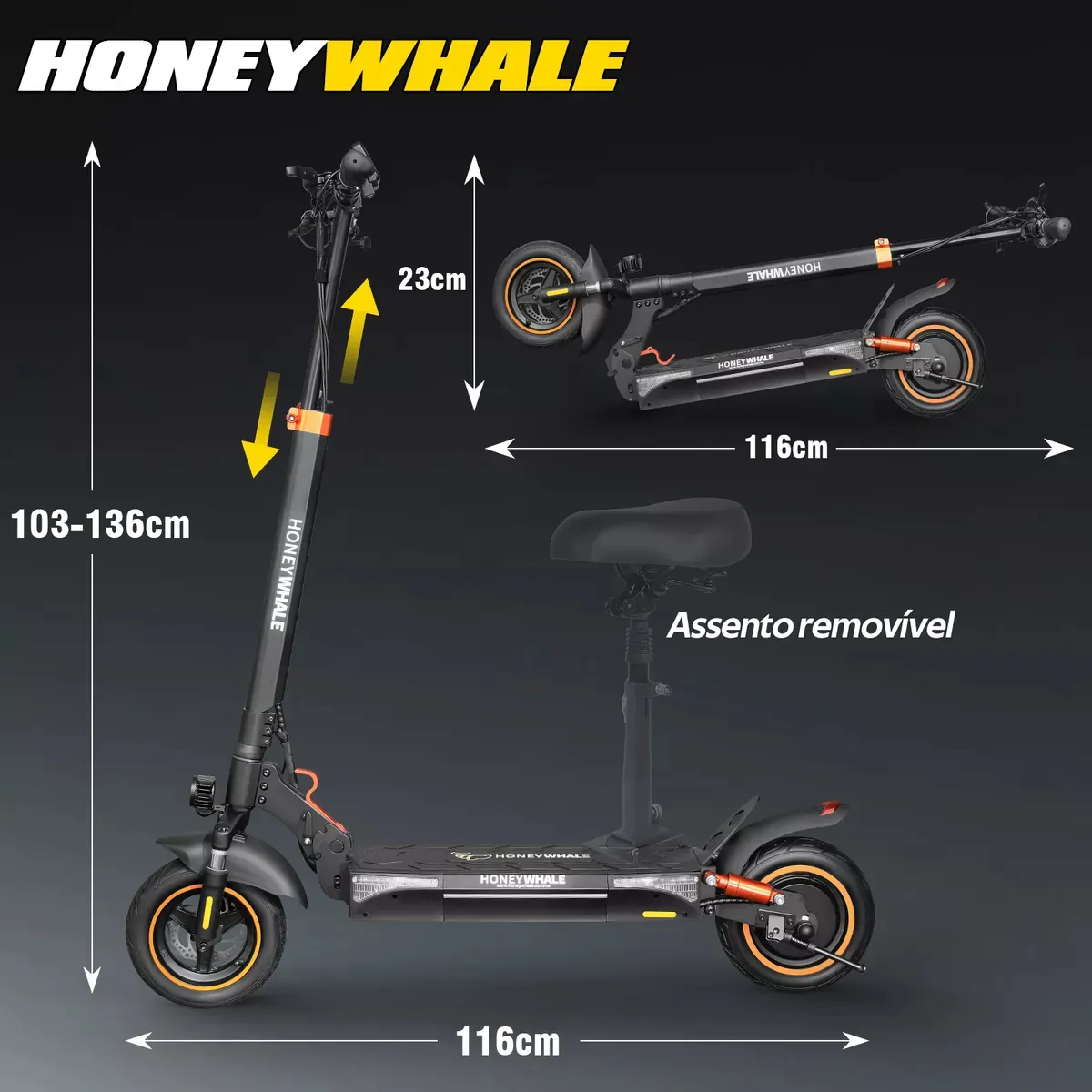 D_Q_NP_735045-MLA83130033105_032025-F