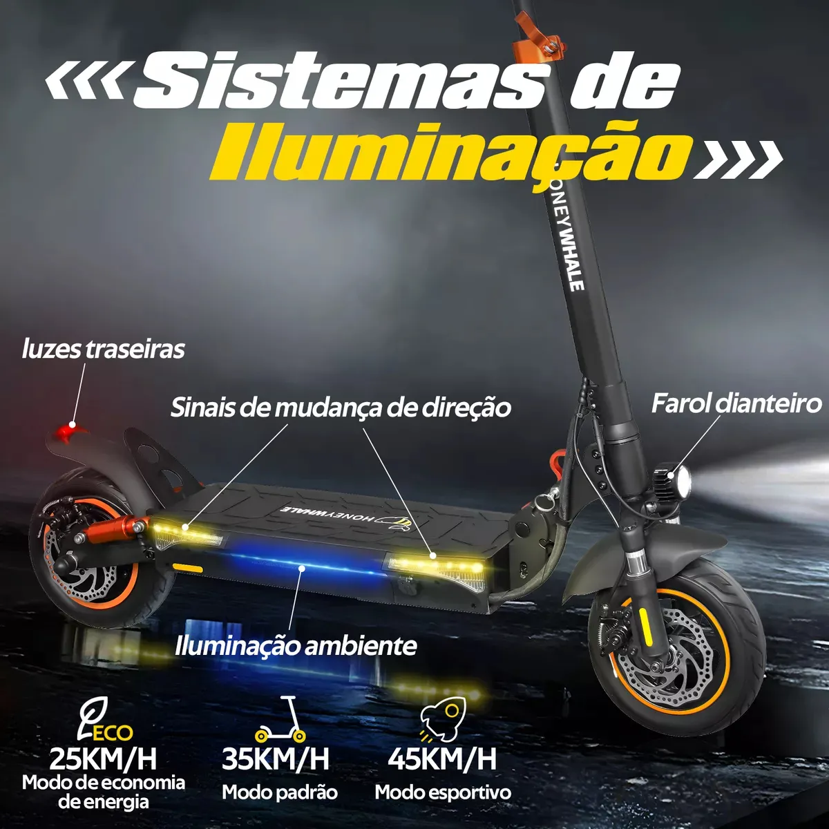 D_Q_NP_873061-MLA82841837684_032025-F